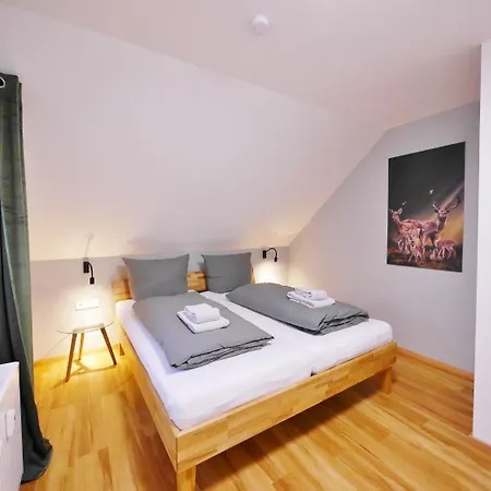 Apartmán First Class Domizil Grosser Bergzauber Inklusive Meinecardplus *